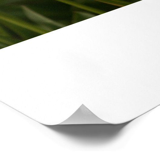 Gele tulpen poster (Hoek)