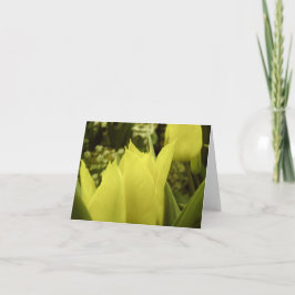 Gele Tulpen Springtime Note Kaart