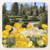 Gele Tulpen uit Arboretum Volcji Potok Slovenië Kartonnen Onderzetters (Voorkant)