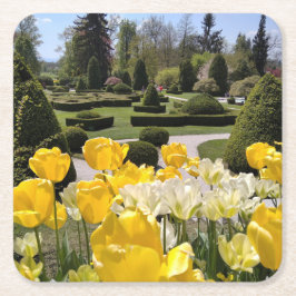 Gele Tulpen uit Arboretum Volcji Potok Slovenië Kartonnen Onderzetters