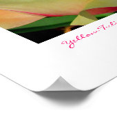 Gele tulpen van Linda Becker PhotoArt Poster (Hoek)