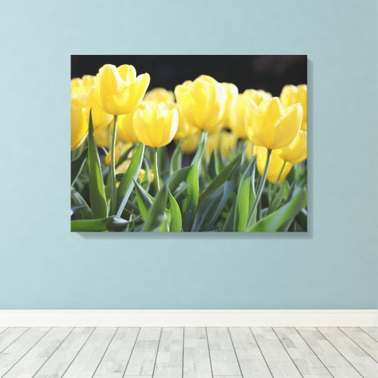 Gele Tulpen Verpakt Canvas Art Print (Insitu (Houten vloer))