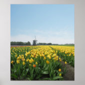 Gele Tulpen Vloerveld Holland Poster (Voorkant)