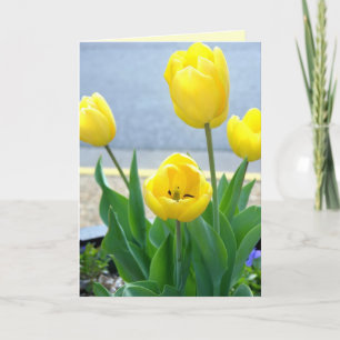 Gele tulpen Wenskaart Feestdagen Kaart