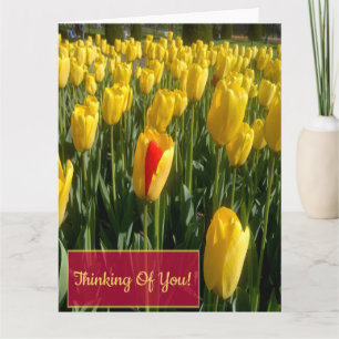 Gele Tulpen wenskaart Kaart