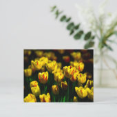 Gele tulpenbloemen briefkaart (Staand voorkant)