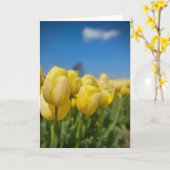Gele Tulpenkaart Kaart (Gele Bloem)