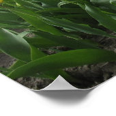 Gele Tulpenlandschap Poster (Hoek)