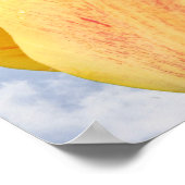 Gele tulpventiel op blauwe hemel poster (Hoek)