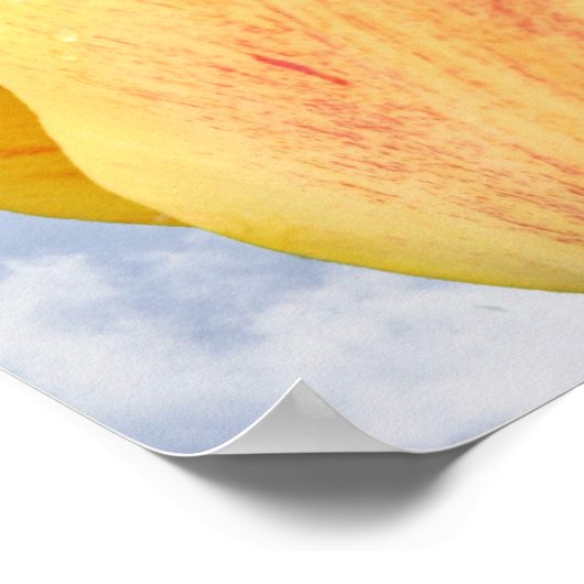 Gele tulpventiel op blauwe hemel poster (Hoek)