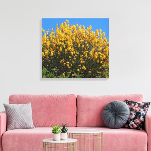 Gele valse indigo/ Wilde Indigo/ Horseflyweed Canvas Afdruk (Insitu (Woonkamer))