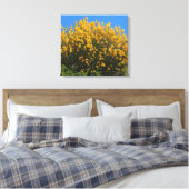 Gele valse indigo/ Wilde Indigo/ Horseflyweed Canvas Afdruk (Insitu (Slaapkamer))