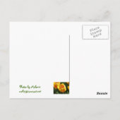 Gele variegroete tulp briefkaart (Achterkant)