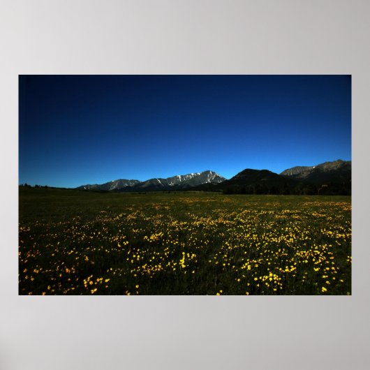 Gele velden poster (Voorkant)