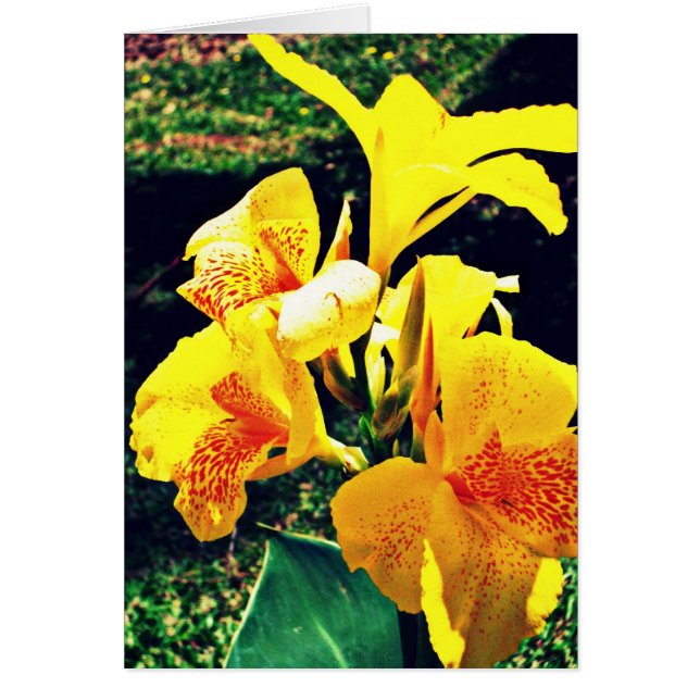 Gele ventiel (Voorkant)