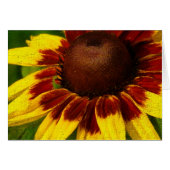 Gele ventiel (Voorkant Horizontaal)