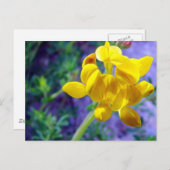 Gele ventiel 2 briefkaart (Voorkant / Achterkant)