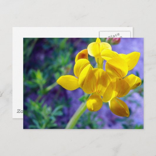 Gele ventiel 2 briefkaart (Voorkant / Achterkant)