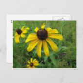 Gele ventiel briefkaart (Voorkant / Achterkant)