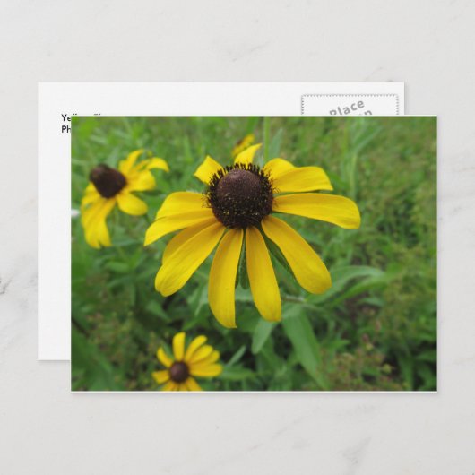 Gele ventiel briefkaart (Voorkant / Achterkant)