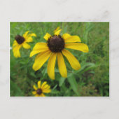 Gele ventiel briefkaart (Voorkant)