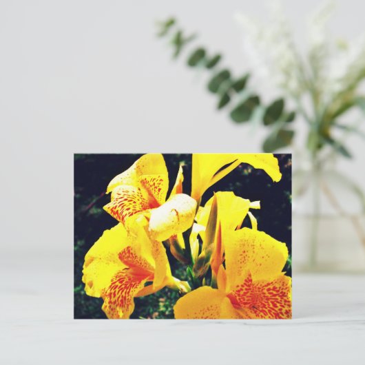 Gele ventiel briefkaart (Staand voorkant)