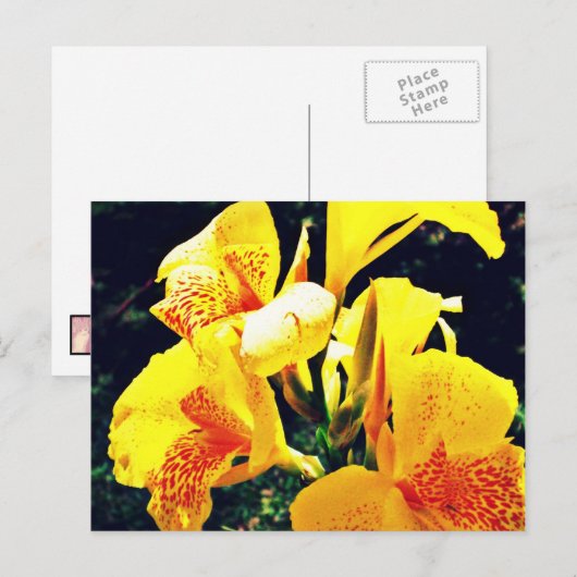 Gele ventiel briefkaart (Voorkant / Achterkant)