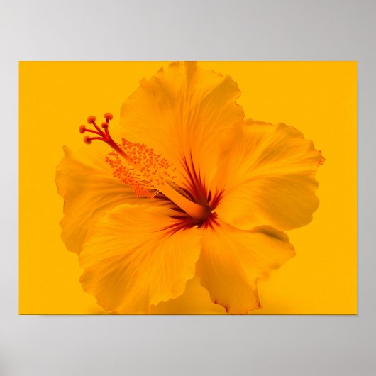 Gele ventiel poster (Voorkant)