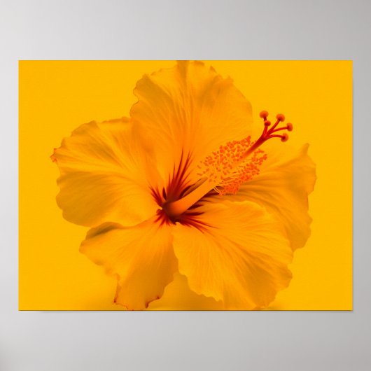Gele ventiel poster (Voorkant)