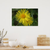 Gele ventiel poster (Keuken)