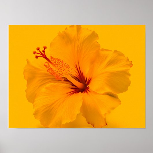 Gele ventiel poster (Voorkant)