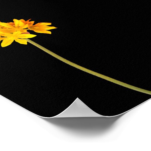 Gele ventiel poster (Hoek)