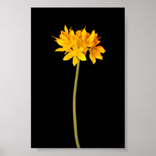 Gele ventiel poster