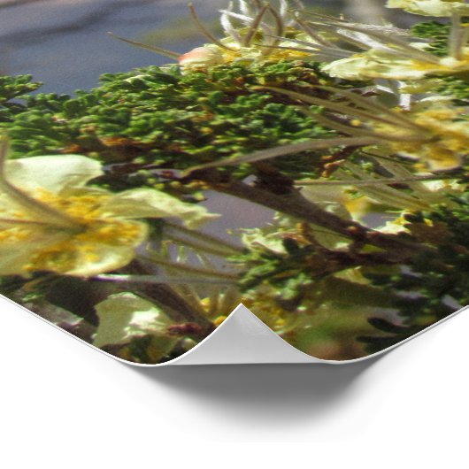 Gele ventilator in Grand Canyon Poster (Hoek)