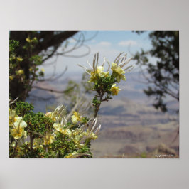 Gele ventilator in Grand Canyon Poster