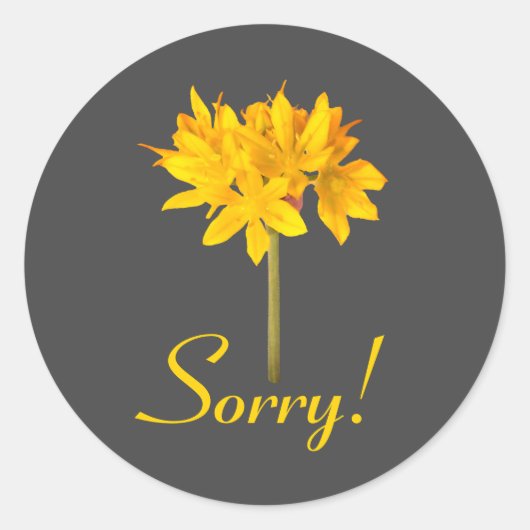 Gele ventilator Sorry Ronde Sticker (Voorkant)