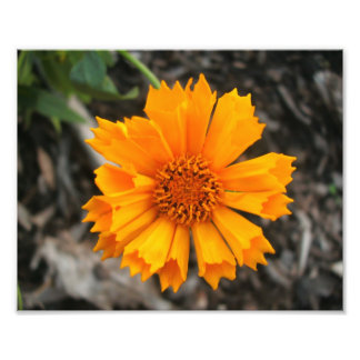 Gele ventilatorafdrukken foto afdruk