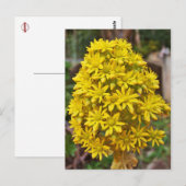 Gele ventilatorclusters briefkaart (Voorkant / Achterkant)