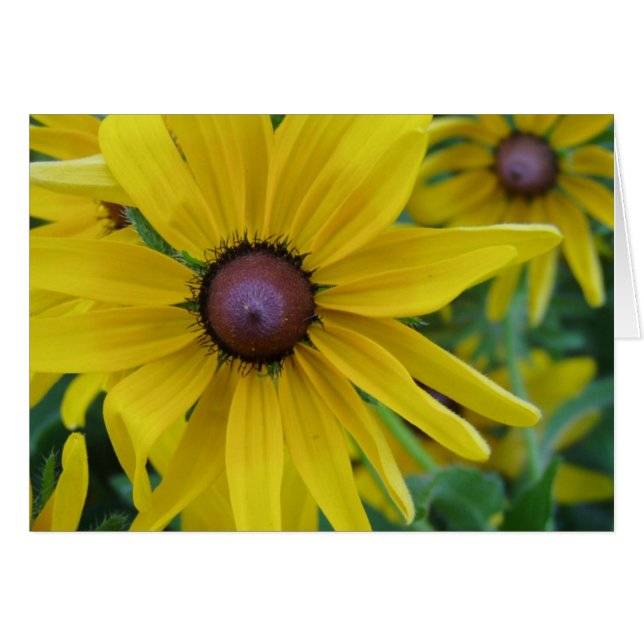 Gele ventilatorkaart (Voorkant Horizontaal)