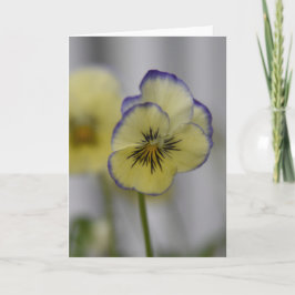 Gele & Violette Viooltjes Foto – Vintage Cottageco Kaart