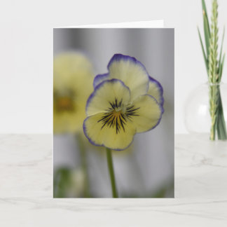 Gele & Violette Viooltjes Foto – Vintage Cottageco Kaart