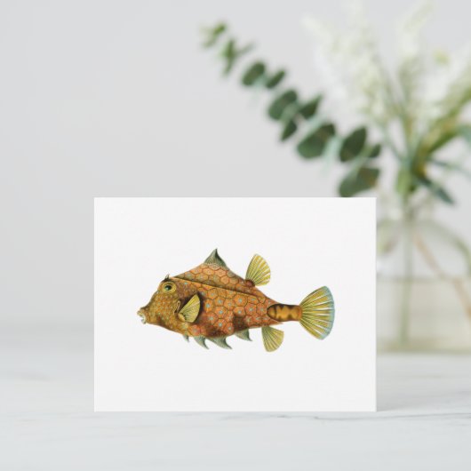 Gele vis briefkaart (Staand voorkant)