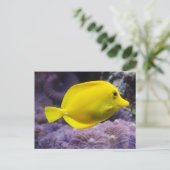Gele vis briefkaart (Staand voorkant)
