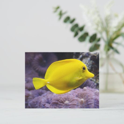 Gele vis briefkaart (Staand voorkant)