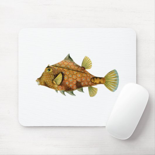 Gele vis muismat (Met muis)