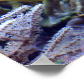 Gele vis poster (Hoek)