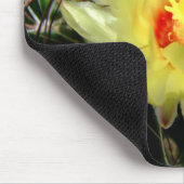 Gele vishaakcactus muismat (Hoek)