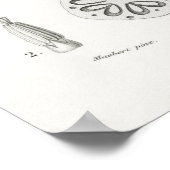 Gele vlas (Linum glandulosum) Poster (Hoek)