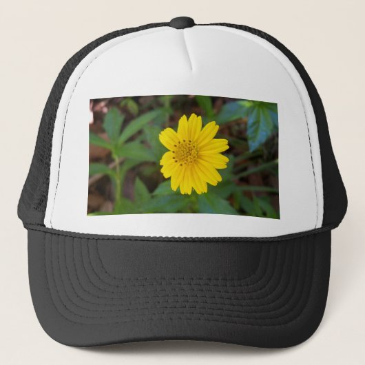 gele vleiervis trucker pet (Voorkant)