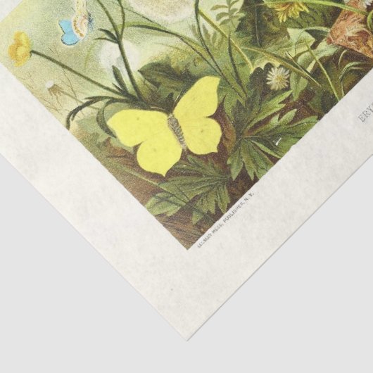 Gele Vlinder Bloemen Ephemera Decoupage Frans Tissuepapier (Detail)